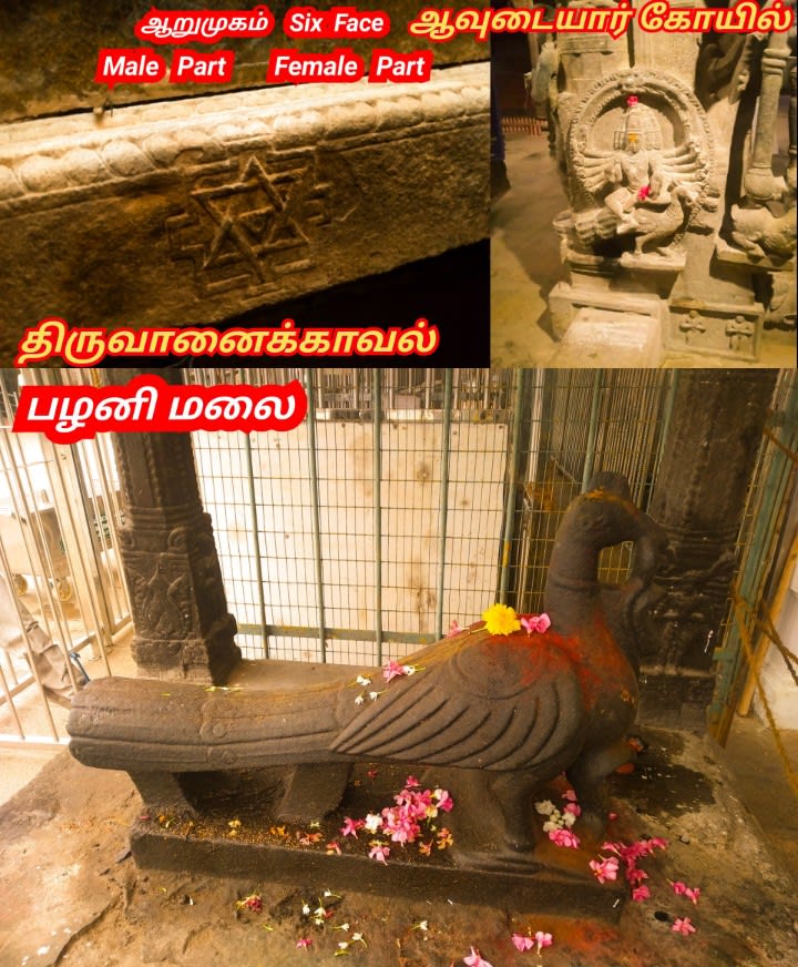 01  Murugan God Pallar Mallar World | 01 முருக கடவுள் வழிபாடு உலகம் முழுவதும் உள்ளது பள்ளர் மள்ளர்