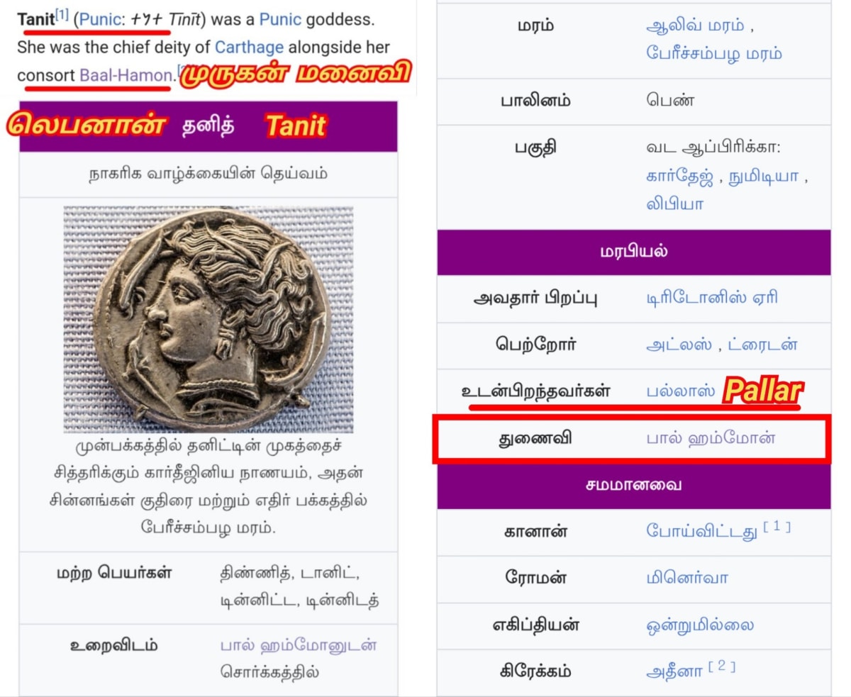 02  Murugan God Pallar Mallar World Palani | 02 முருக கடவுள் வழிபாடு உலகம் முழுவதும் உள்ளது பள்ளர் மள்ளர் பழனி பழனியாண்டவர்