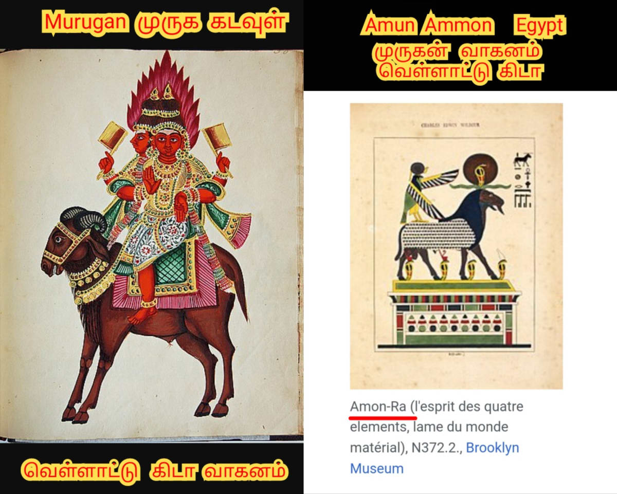 02  Murugan God Pallar Mallar World Palani | 02 முருக கடவுள் வழிபாடு உலகம் முழுவதும் உள்ளது பள்ளர் மள்ளர் பழனி பழனியாண்டவர்