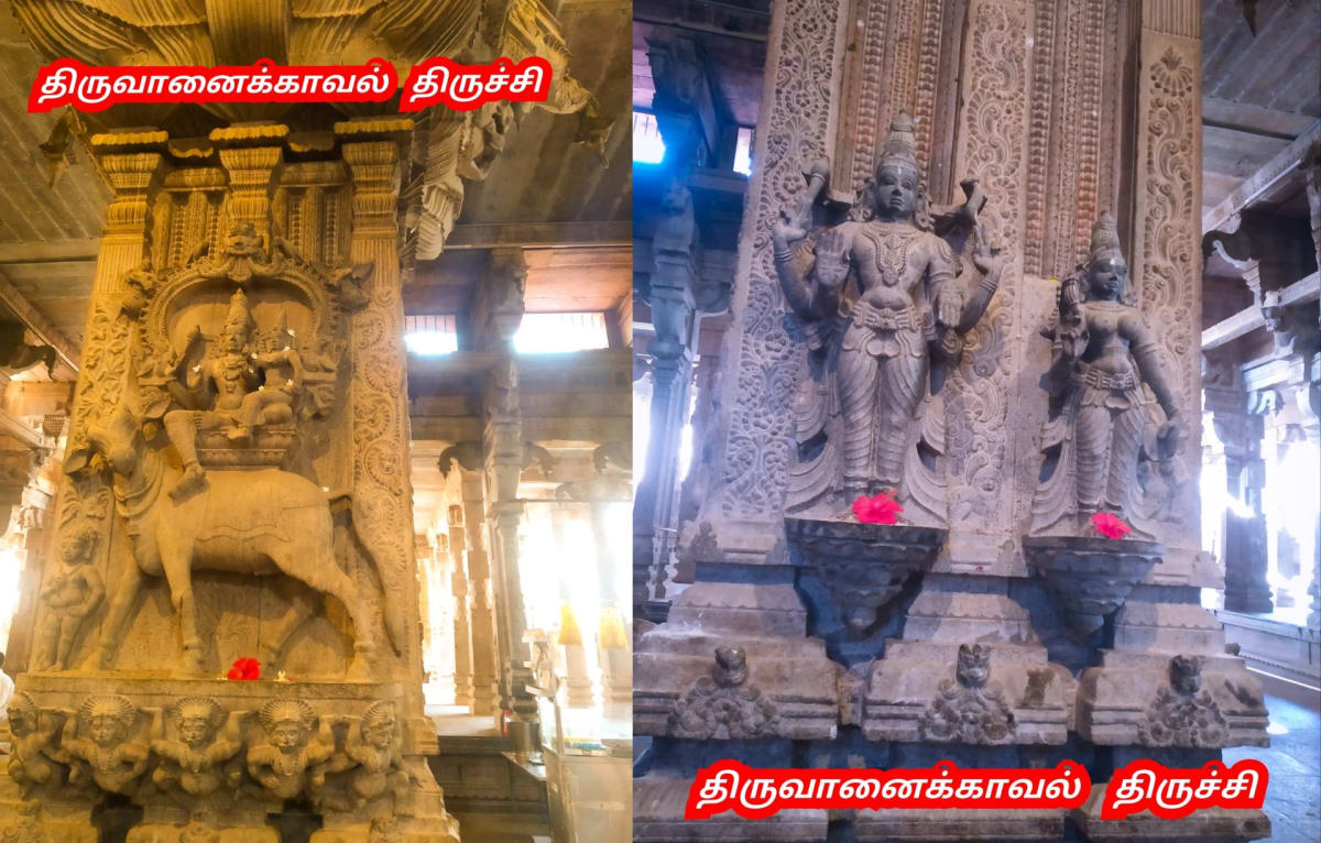 Thiruvathirai Shivan Orion Star Pallar Mallar | திருவாதிரை நட்சத்திரம் சிவன் ஈசன் மரபணு பள்ளர் மள்ளர்