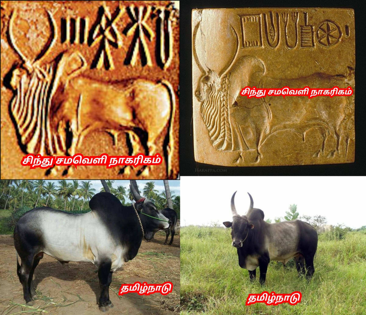 01  Shivan Isan Esan God World Pallar Mallar | சிவன் ஈசன் கடவுள் உலகம் முழுவதும் வழிபாடு செய்து வருகின்றனர் பள்ளர் மள்ளர்