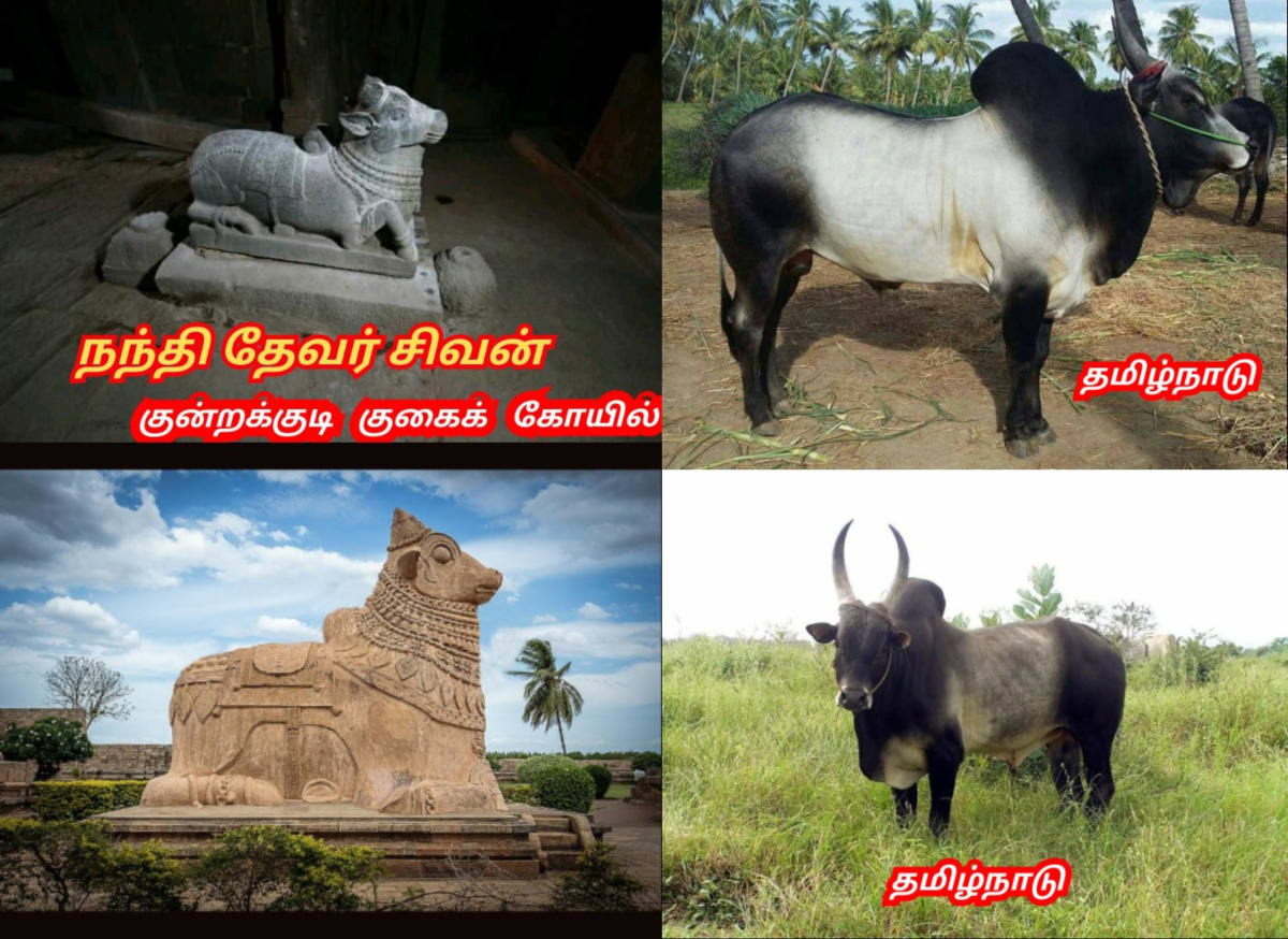 01  Shivan Isan Esan God World Pallar Mallar | சிவன் ஈசன் கடவுள் உலகம் முழுவதும் வழிபாடு செய்து வருகின்றனர் பள்ளர் மள்ளர்