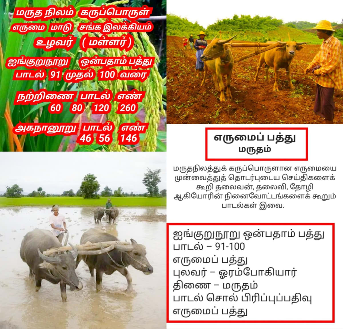 Kotravai Kaali God Ancient Pallar Mallar Worship | கொற்றவை காளி கடவுள் பள்ளர் மள்ளர் தங்கள் குல தெய்வமாக வழிபட்டனர்