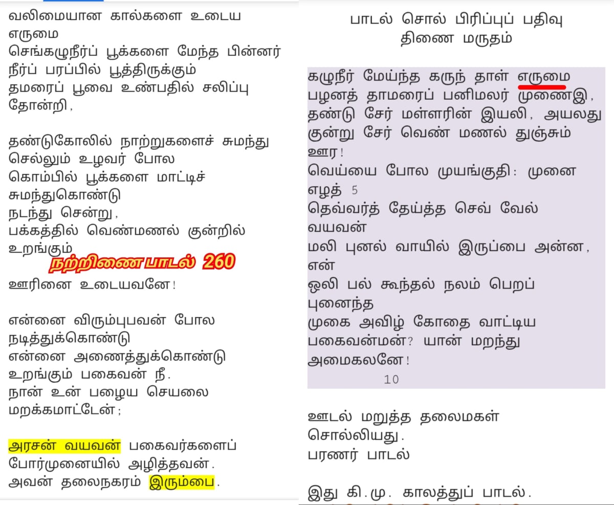 Kotravai Kaali God Ancient Pallar Mallar Worship | கொற்றவை காளி கடவுள் பள்ளர் மள்ளர் தங்கள் குல தெய்வமாக வழிபட்டனர்