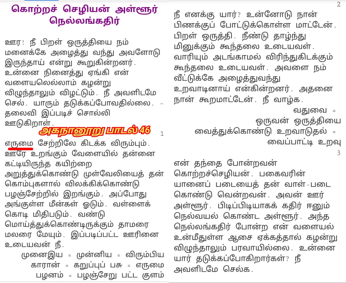 Kotravai Kaali God Ancient Pallar Mallar Worship | கொற்றவை காளி கடவுள் பள்ளர் மள்ளர் தங்கள் குல தெய்வமாக வழிபட்டனர்