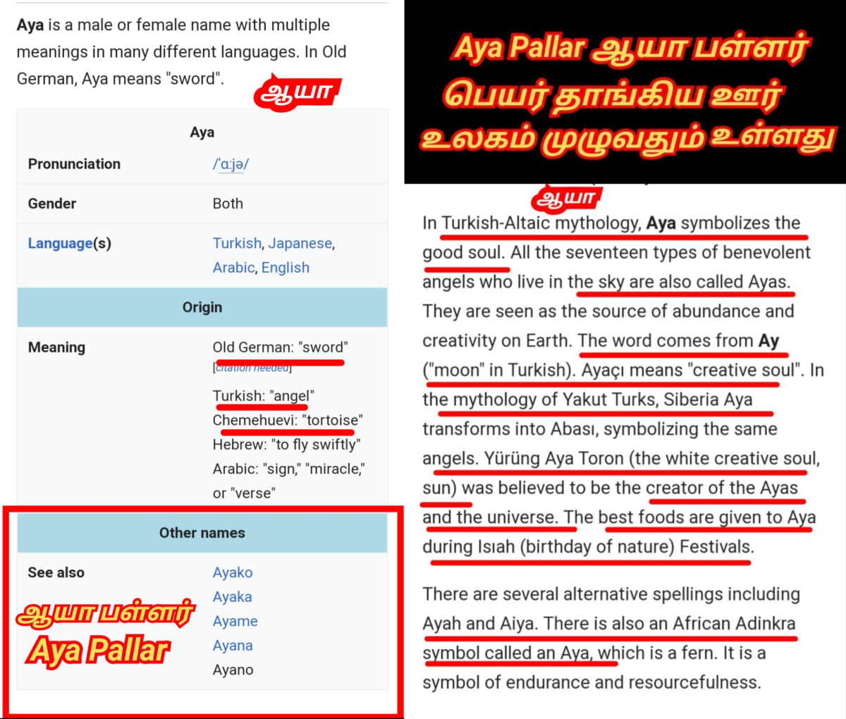 Aya Pallar Mallar World | ஆயா பள்ளர் மள்ளர் உலகம்