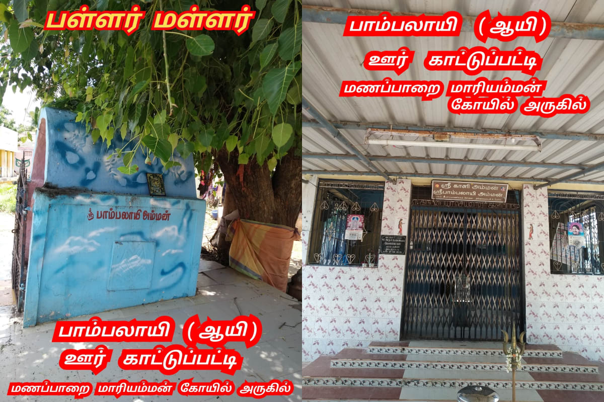 Ay Pallar Mallar World | ஆயி பள்ளர் மள்ளர் உலகம்
