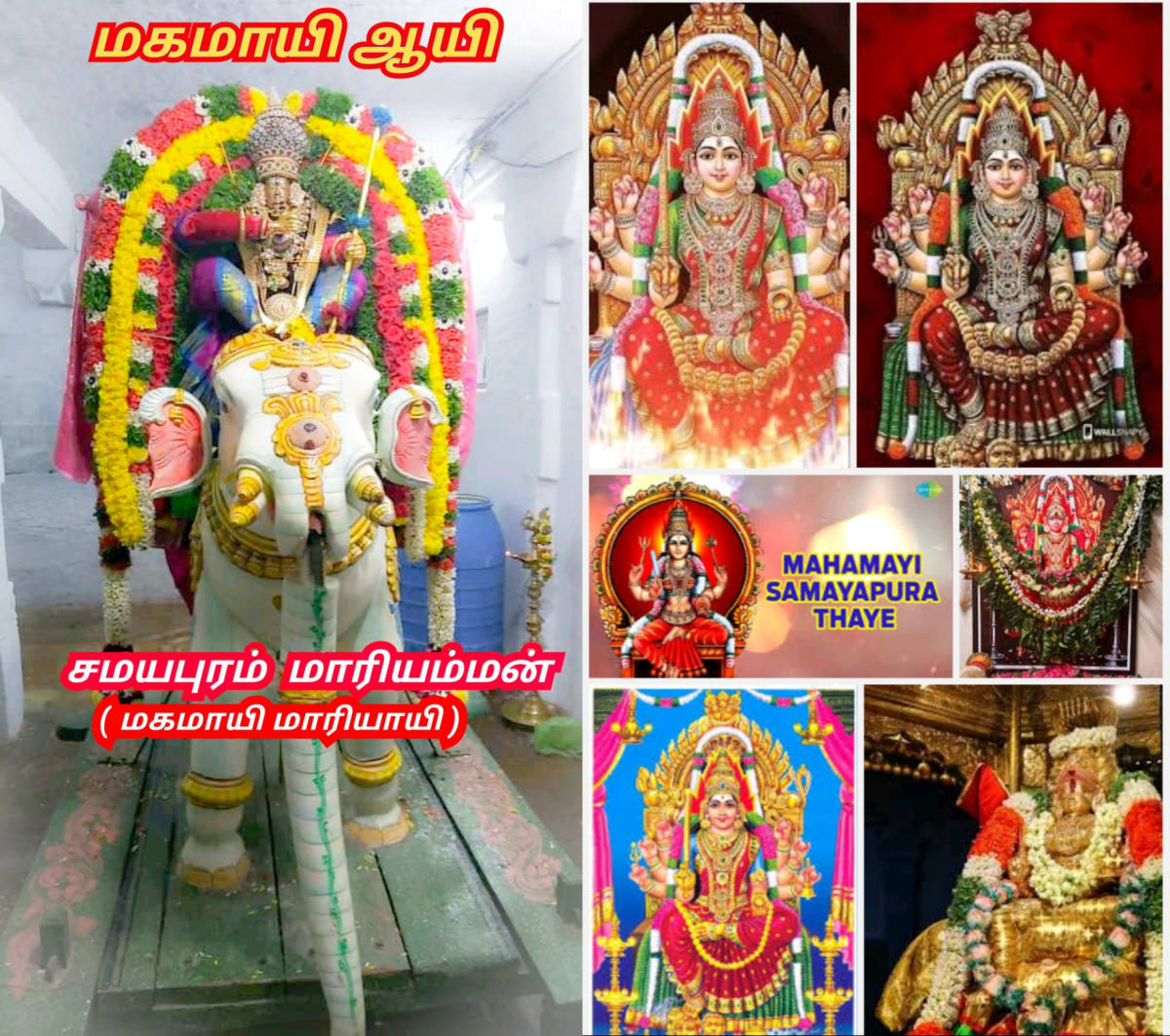 Ay Pallar Mallar World | ஆயி பள்ளர் மள்ளர் உலகம்