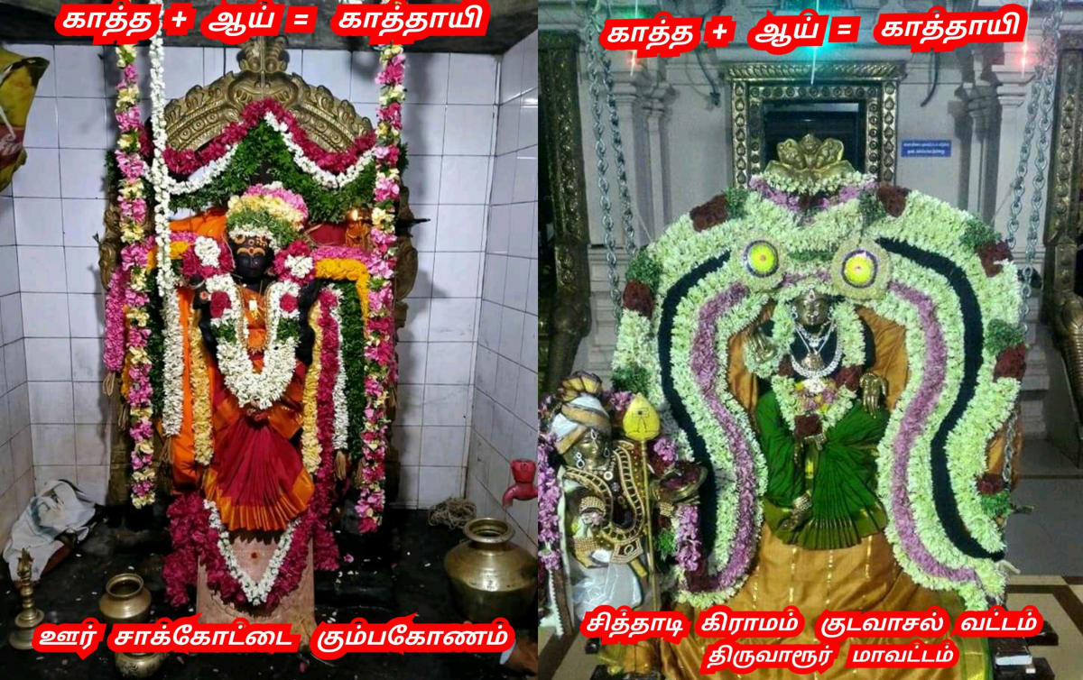 Ay Pallar Mallar World | ஆயி பள்ளர் மள்ளர் உலகம்