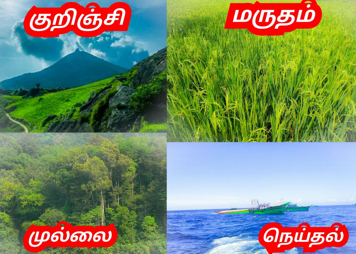 14 Vathu Parimanam Pallar Mallar World | உலகம் முழுவதும் 400 கோடிக்கு மேல் பள்ளர் மள்ளர் வாழ்கின்றனர்