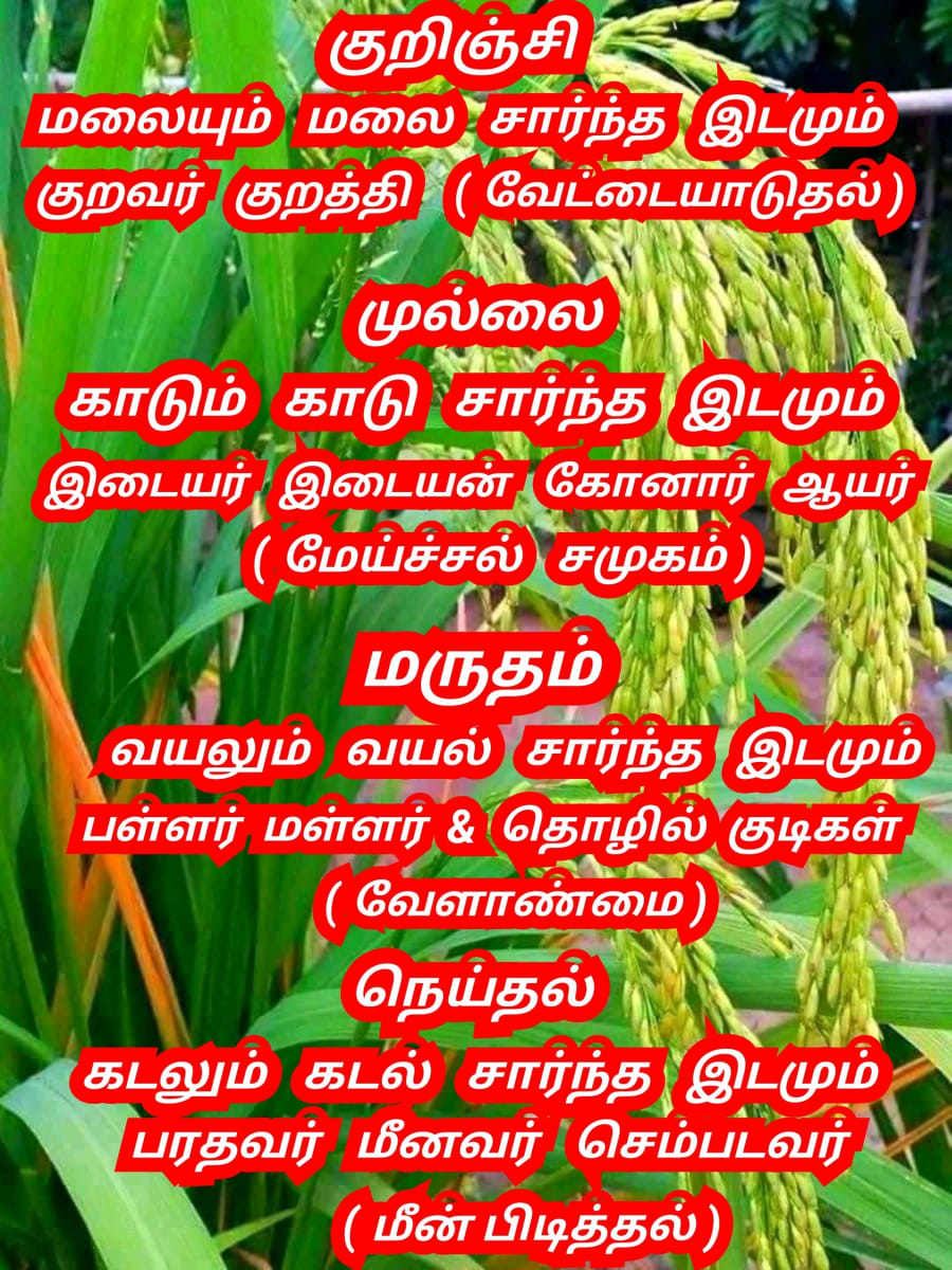 14 Vathu Parimanam Pallar Mallar World | உலகம் முழுவதும் 400 கோடிக்கு மேல் பள்ளர் மள்ளர் வாழ்கின்றனர்