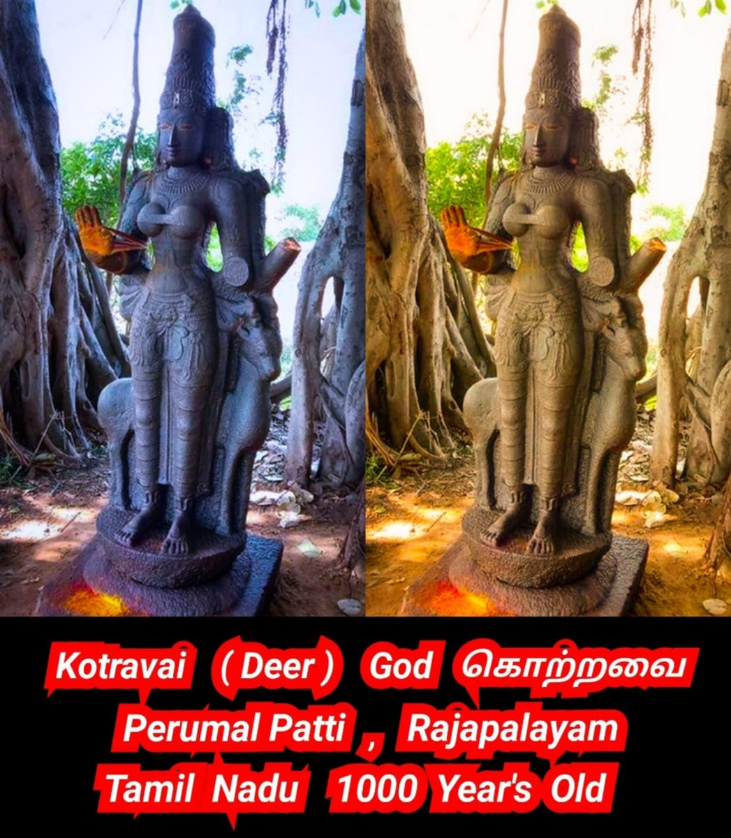 14 Vathu Parimanam Pallar Mallar World | உலகம் முழுவதும் 400 கோடிக்கு மேல் பள்ளர் மள்ளர் வாழ்கின்றனர்