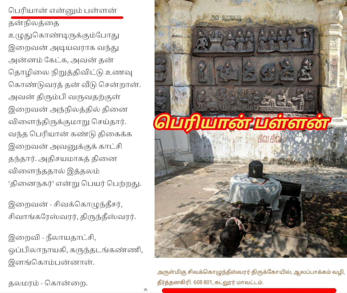 14 Vathu Parimanam Pallar Mallar World | உலகம் முழுவதும் 400 கோடிக்கு மேல் பள்ளர் மள்ளர் வாழ்கின்றனர்