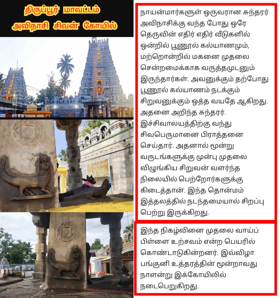 14 Vathu Parimanam Pallar Mallar World | உலகம் முழுவதும் 400 கோடிக்கு மேல் பள்ளர் மள்ளர் வாழ்கின்றனர்