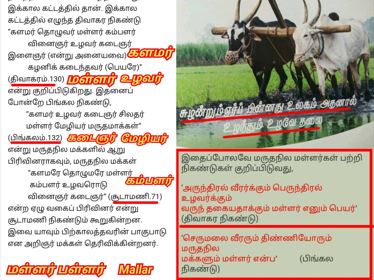 Part 1 Pandiyar Pandian Kingdom Pallar Mallar World | பாண்டியர் பாண்டியன் பள்ளர் மள்ளர் வரலாறு