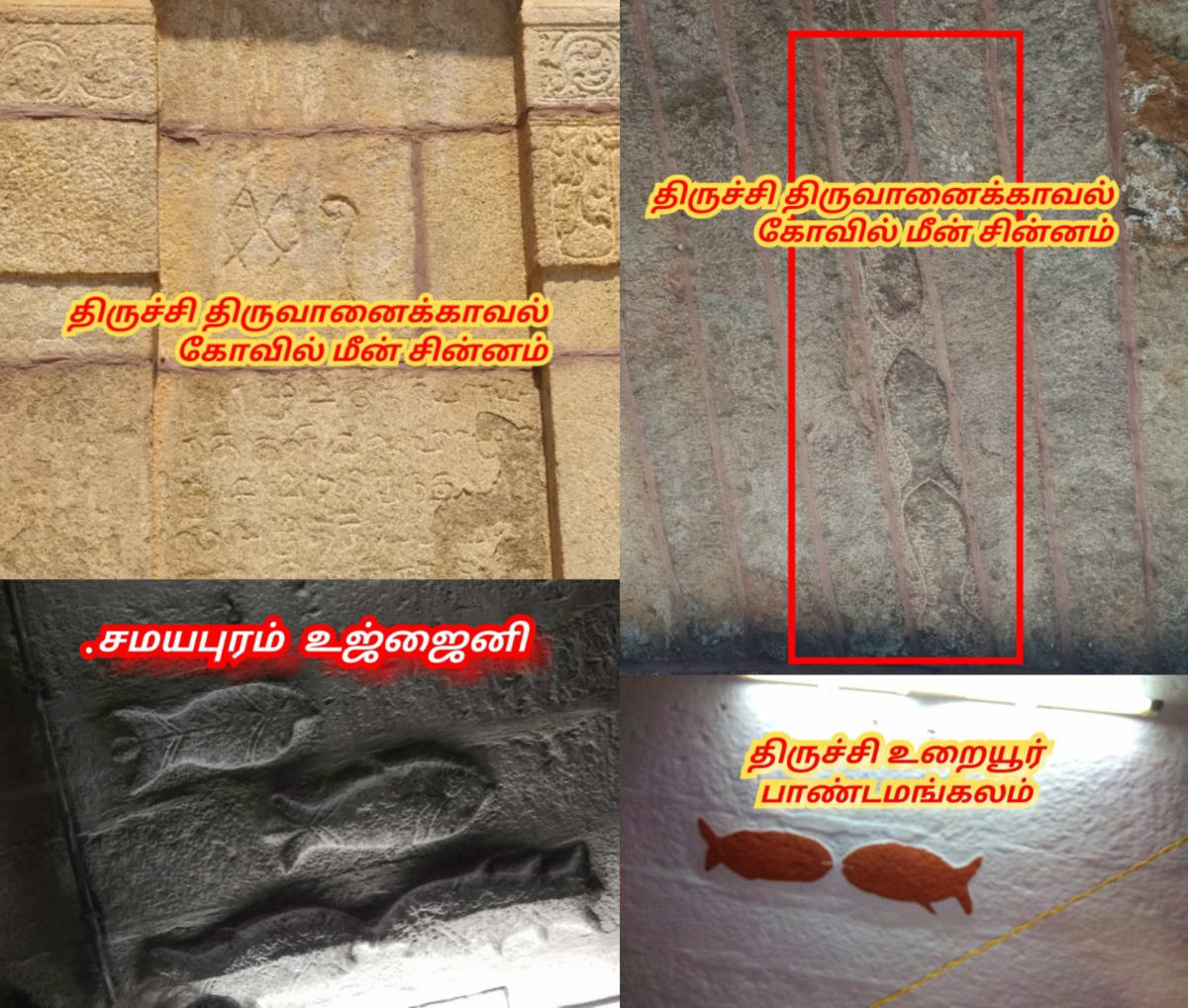 Part  2  Pandian Pandiyar Symbol Fish Kayal Pallar Mallar | பாகம் 2  பாண்டியர் பாண்டியன் அரச சின்னம் இரட்டை மீன் பள்ளர் மள்ளர்