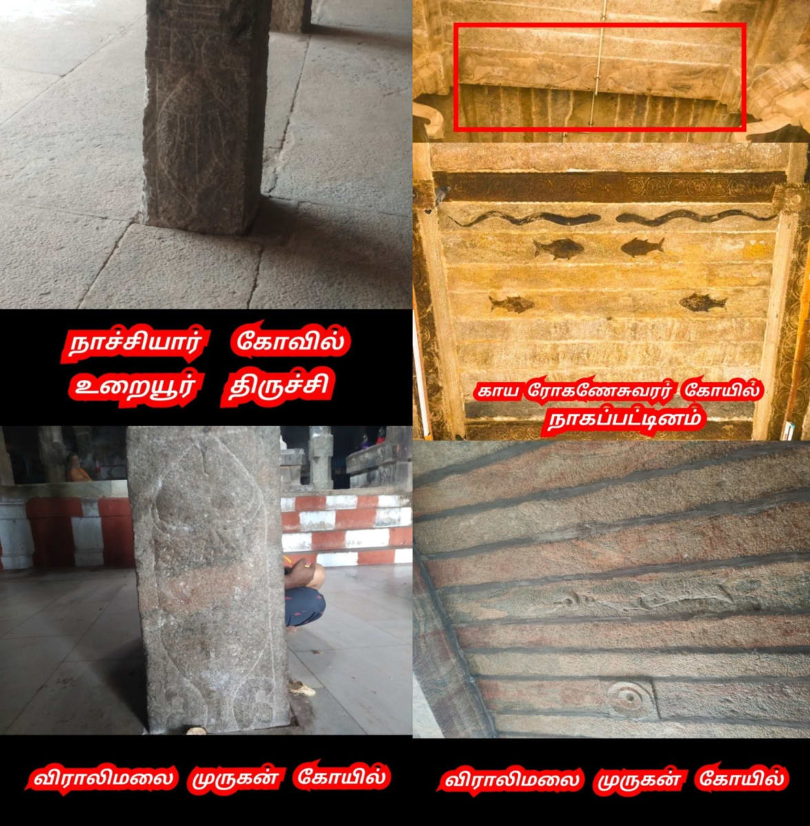 Part  2  Pandian Pandiyar Symbol Fish Kayal Pallar Mallar | பாகம் 2  பாண்டியர் பாண்டியன் அரச சின்னம் இரட்டை மீன் பள்ளர் மள்ளர்