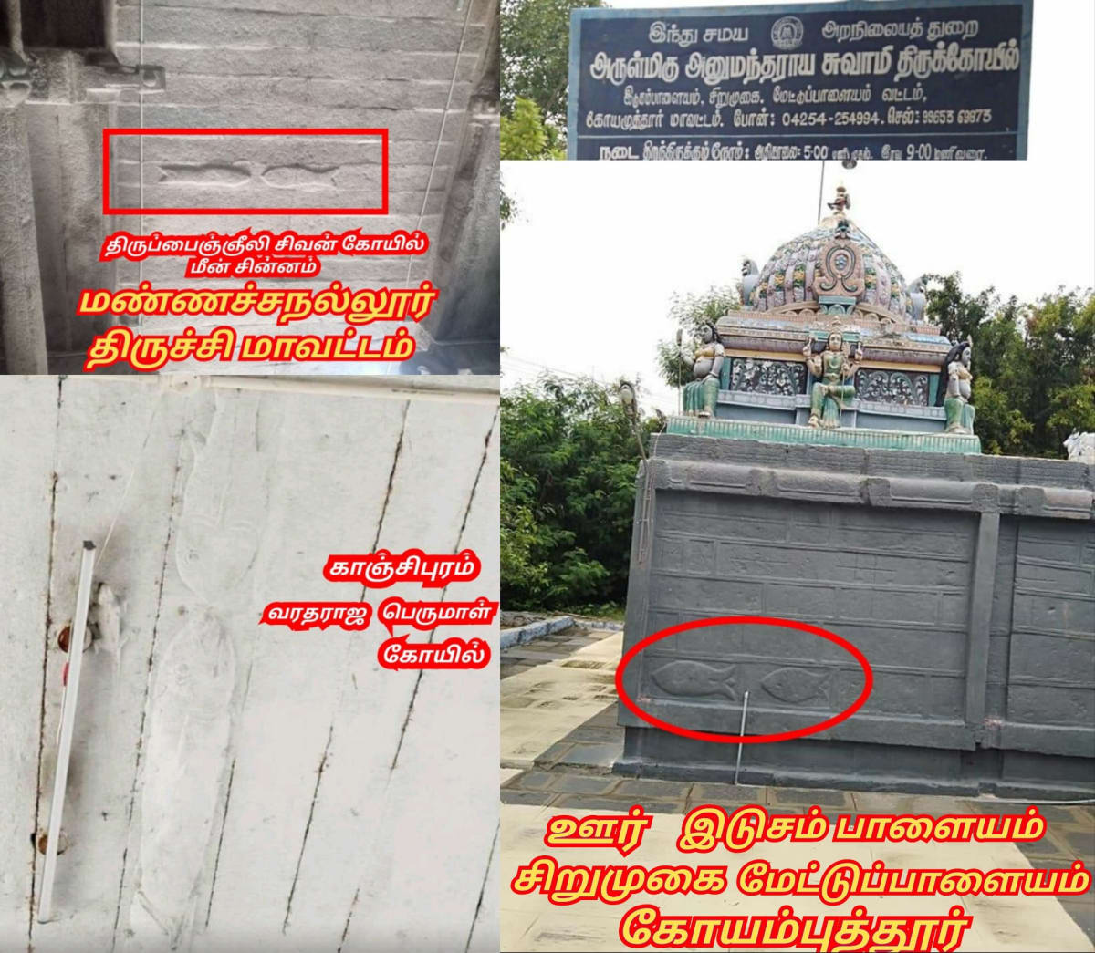 Part  2  Pandian Pandiyar Symbol Fish Kayal Pallar Mallar | பாகம் 2  பாண்டியர் பாண்டியன் அரச சின்னம் இரட்டை மீன் பள்ளர் மள்ளர்