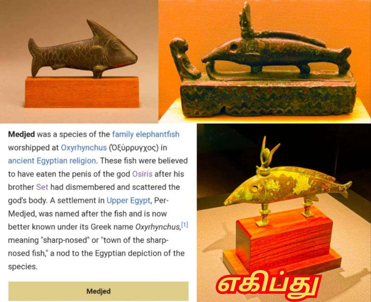 Part  2  Pandian Pandiyar Symbol Fish Kayal Pallar Mallar | பாகம் 2  பாண்டியர் பாண்டியன் அரச சின்னம் இரட்டை மீன் பள்ளர் மள்ளர்