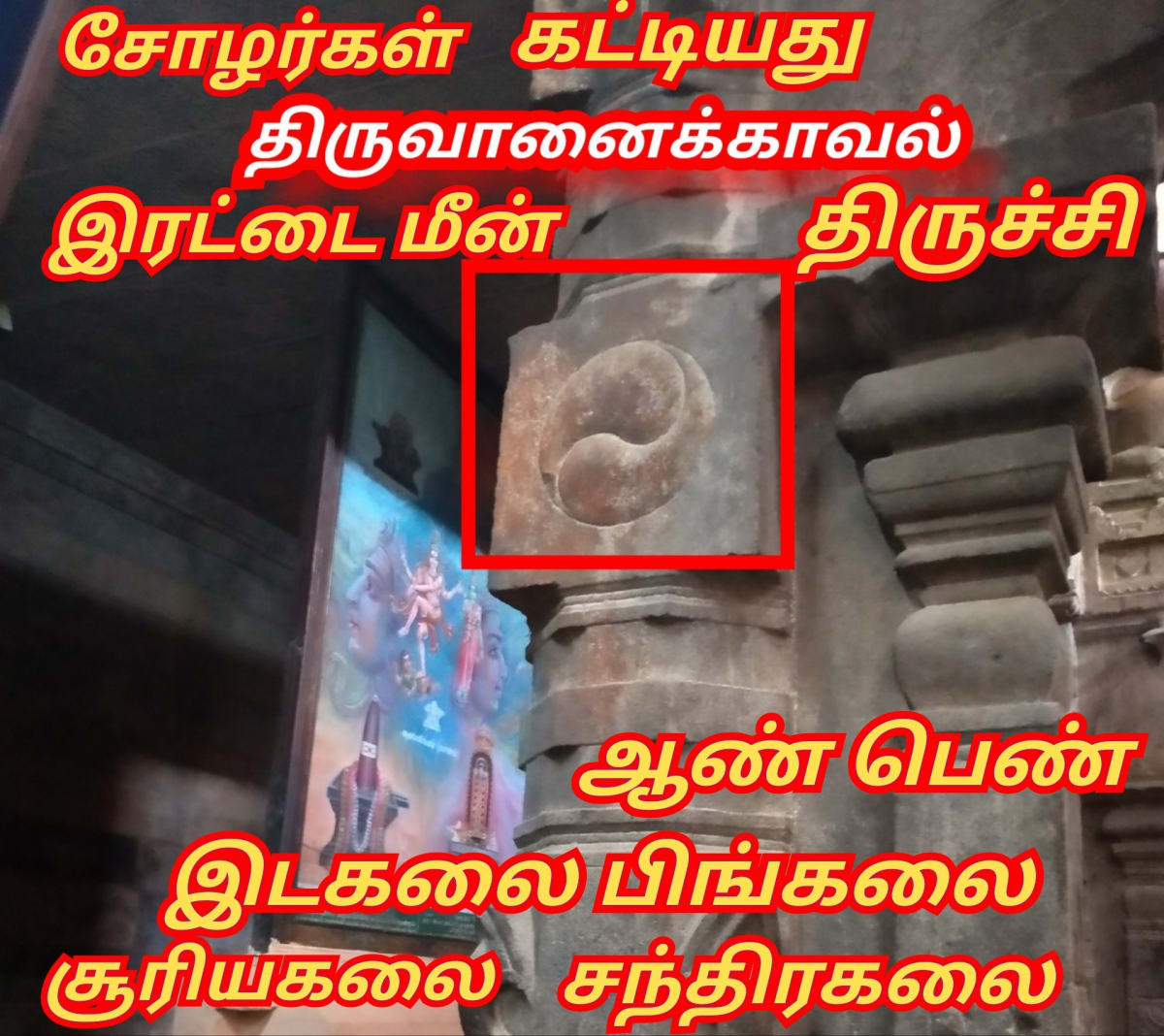 Part  2  Pandian Pandiyar Symbol Fish Kayal Pallar Mallar | பாகம் 2  பாண்டியர் பாண்டியன் அரச சின்னம் இரட்டை மீன் பள்ளர் மள்ளர்