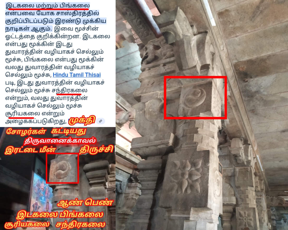Part  2  Pandian Pandiyar Symbol Fish Kayal Pallar Mallar | பாகம் 2  பாண்டியர் பாண்டியன் அரச சின்னம் இரட்டை மீன் பள்ளர் மள்ளர்