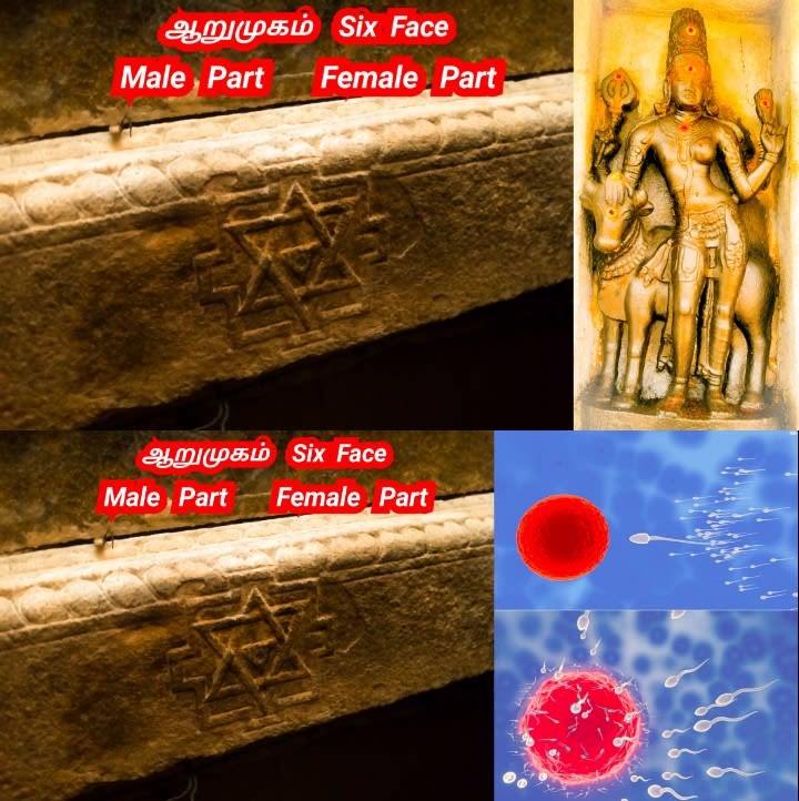 Part  2  Pandian Pandiyar Symbol Fish Kayal Pallar Mallar | பாகம் 2  பாண்டியர் பாண்டியன் அரச சின்னம் இரட்டை மீன் பள்ளர் மள்ளர்