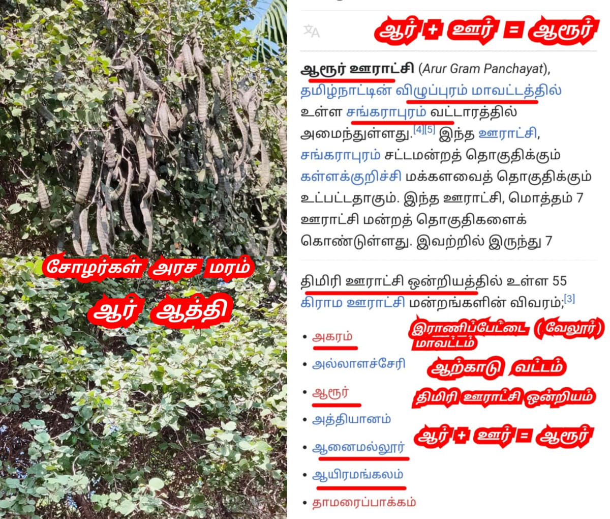 Part 1 Chola Cholan Pallar Mallar World | பாகம் 1 சோழர் சோழன் பள்ளர் மள்ளர் உலகம்