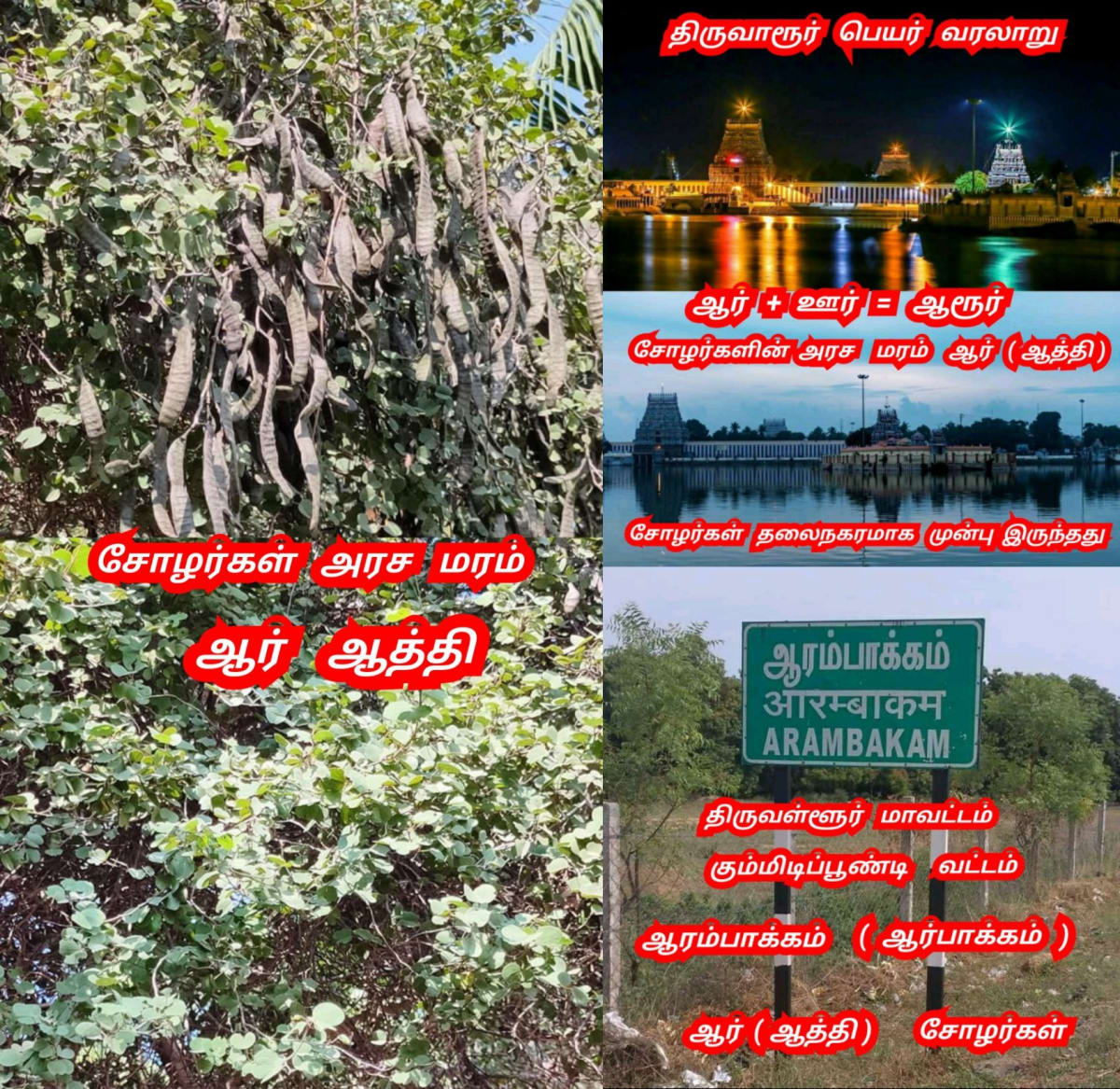 Part 1 Chola Cholan Pallar Mallar World | பாகம் 1 சோழர் சோழன் பள்ளர் மள்ளர் உலகம்