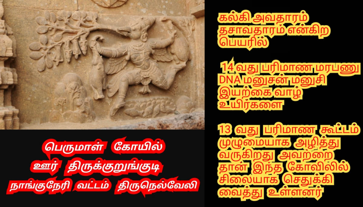 Part 2 Chola Cholar Final War Veerapur Manaparai Valanadu Palayakottai | பாகம் 2 சோழ சோழர் கடைசி போர் வீரப்பூர் மணப்பாறை வளநாடு பழைய கோட்டை