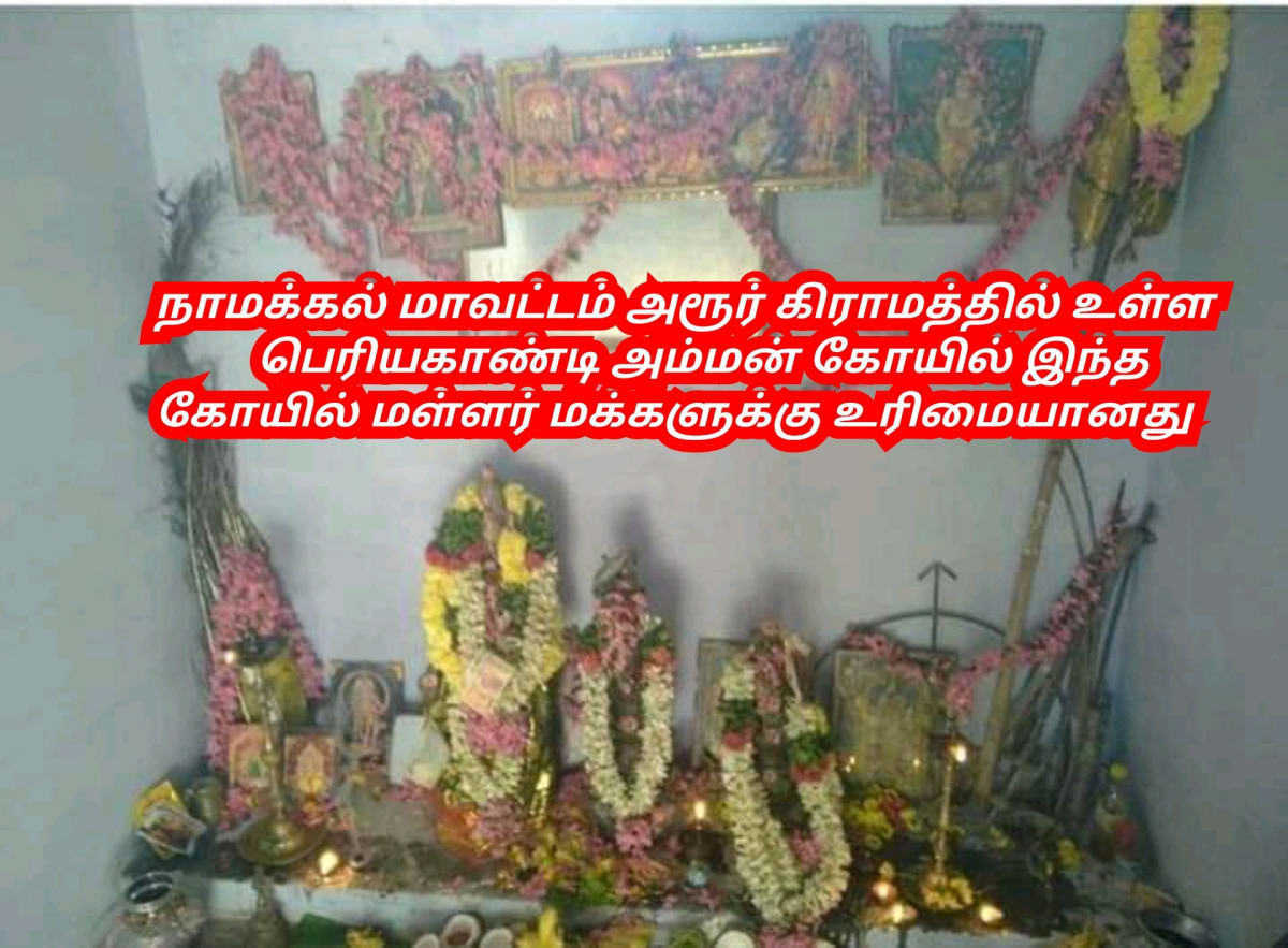 Part 2 Chola Cholar Final War Veerapur Manaparai Valanadu Palayakottai | பாகம் 2 சோழ சோழர் கடைசி போர் வீரப்பூர் மணப்பாறை வளநாடு பழைய கோட்டை