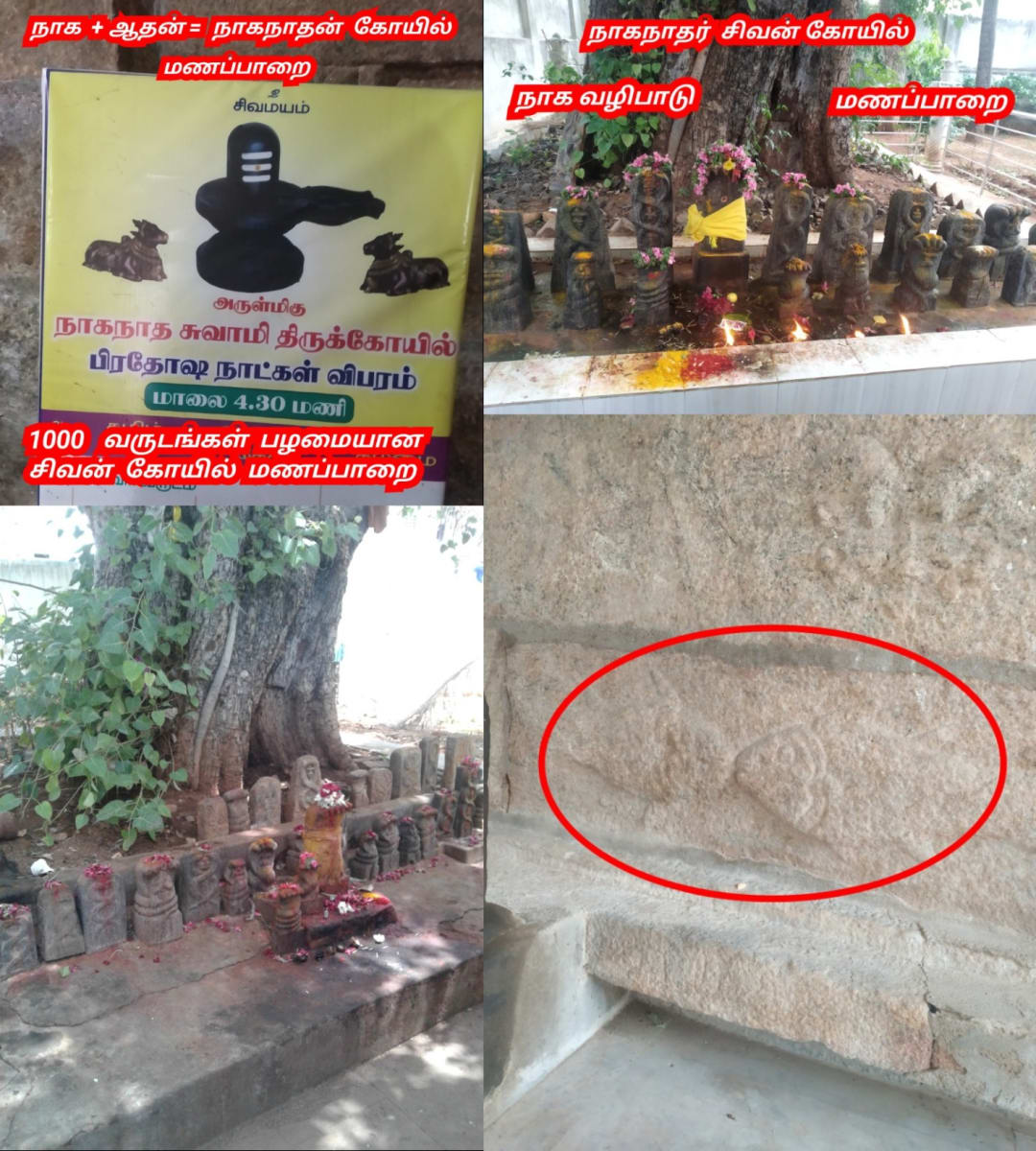 Part 2 Chola Cholar Final War Veerapur Manaparai Valanadu Palayakottai | பாகம் 2 சோழ சோழர் கடைசி போர் வீரப்பூர் மணப்பாறை வளநாடு பழைய கோட்டை