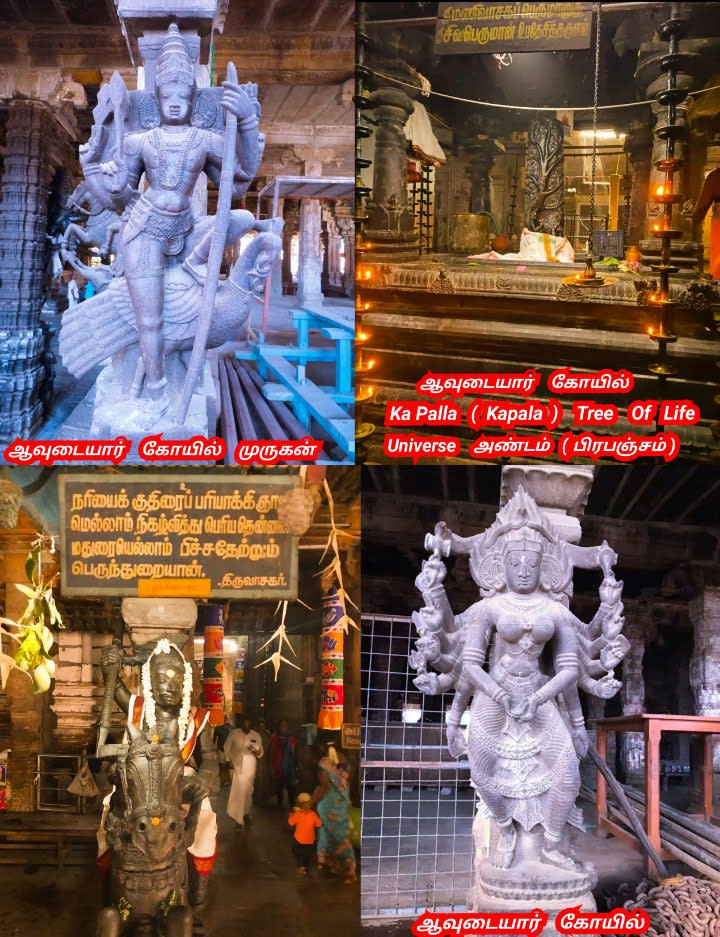 Part 3 Chola Cholar Temple Pallar Mallar World | பாகம் 3 சோழ சோழர்கள் கட்டியது கோவில்கள் பள்ளர் மள்ளர்