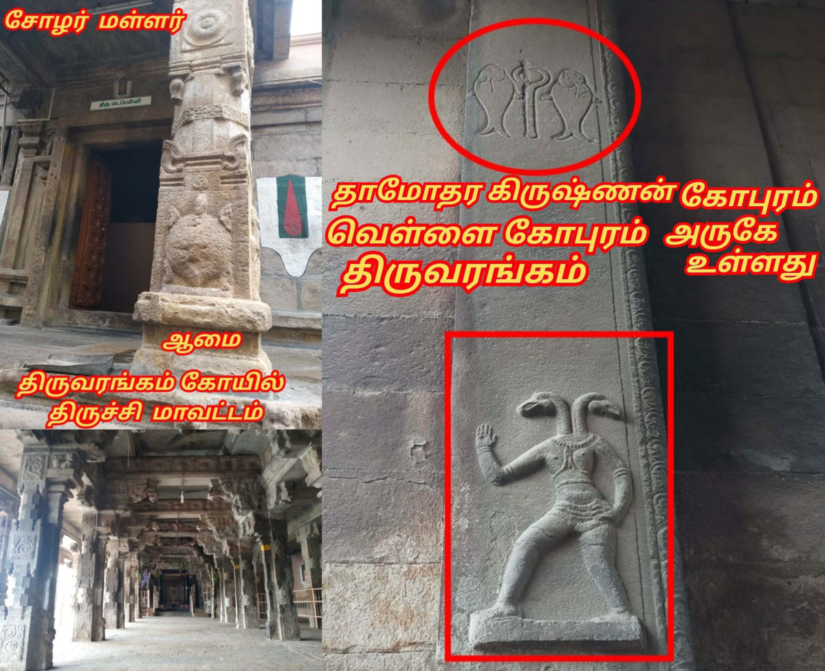Part 3 Chola Cholar Temple Pallar Mallar World | பாகம் 3 சோழ சோழர்கள் கட்டியது கோவில்கள் பள்ளர் மள்ளர்