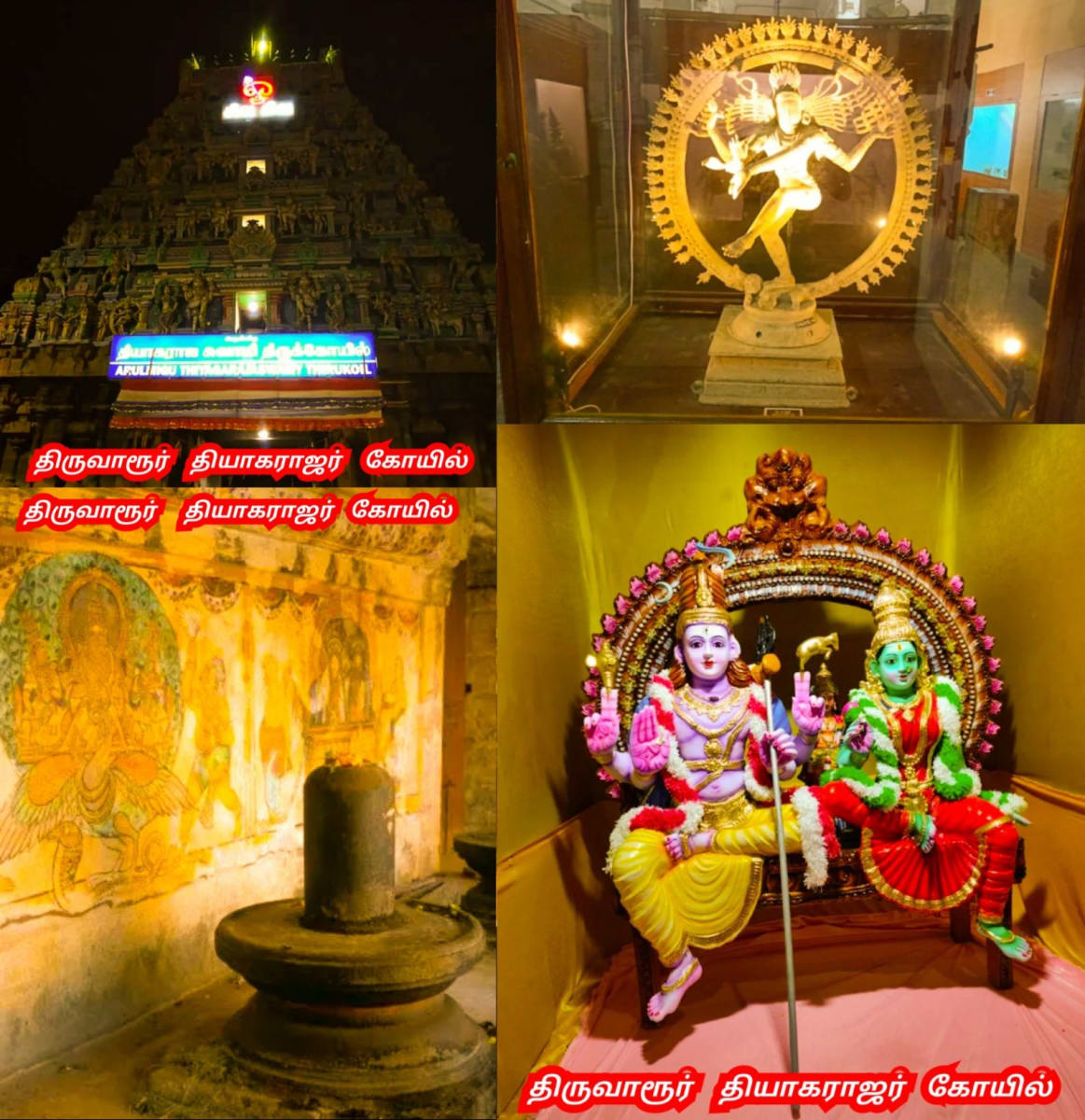 Part 3 Chola Cholar Temple Pallar Mallar World | பாகம் 3 சோழ சோழர்கள் கட்டியது கோவில்கள் பள்ளர் மள்ளர்