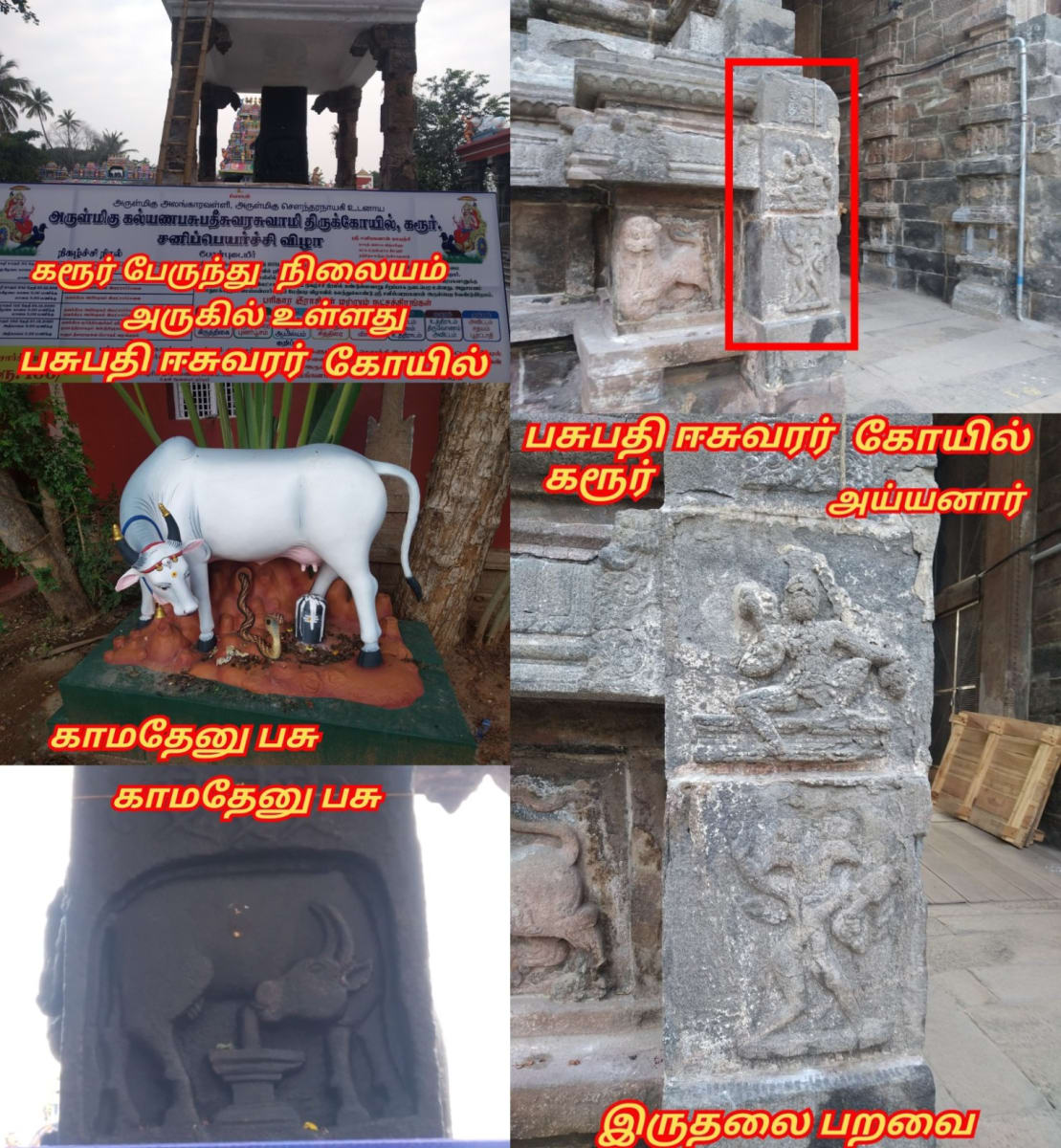 Part 3 Chola Cholar Temple Pallar Mallar World | பாகம் 3 சோழ சோழர்கள் கட்டியது கோவில்கள் பள்ளர் மள்ளர்