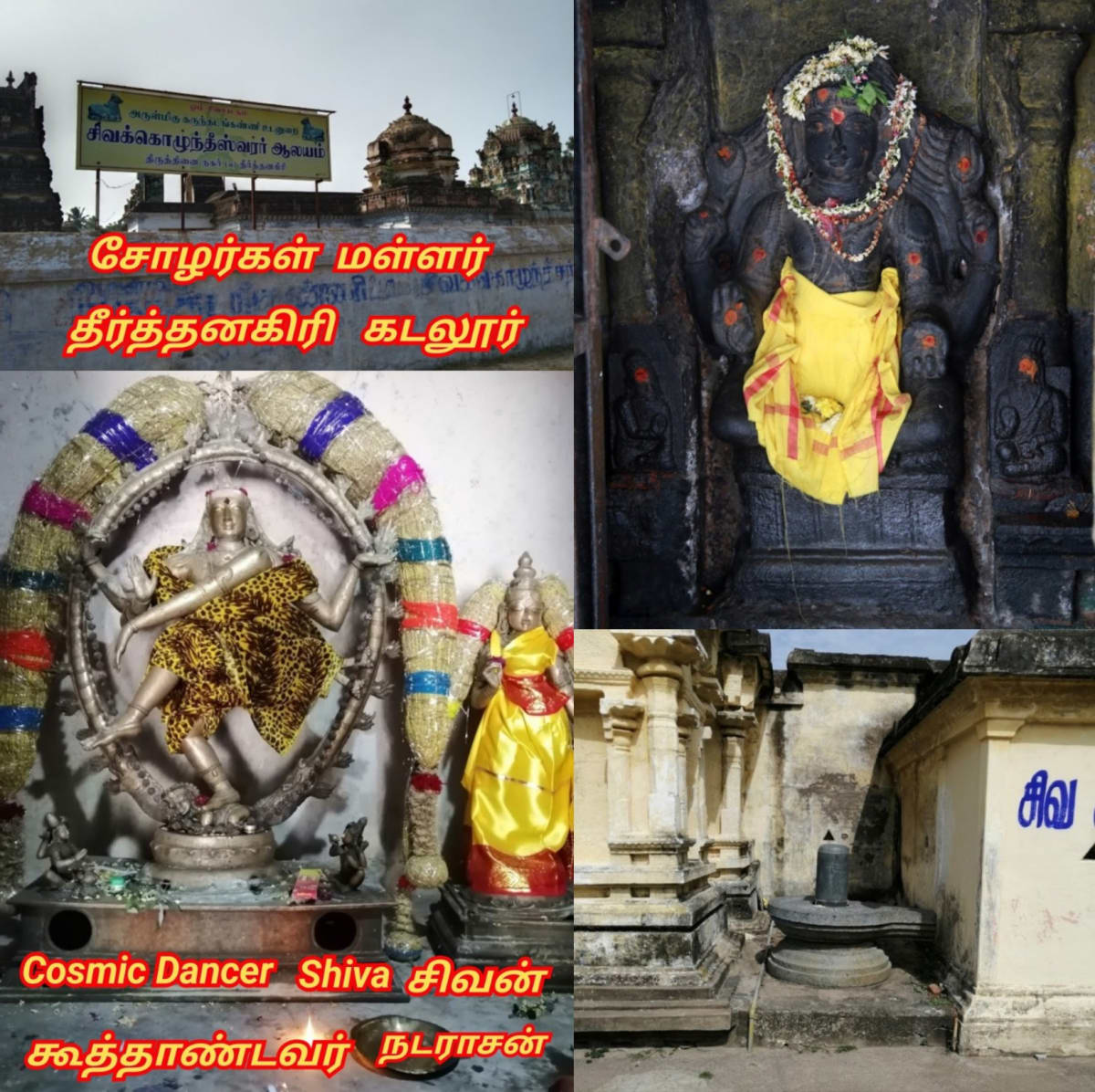 Part 3 Chola Cholar Temple Pallar Mallar World | பாகம் 3 சோழ சோழர்கள் கட்டியது கோவில்கள் பள்ளர் மள்ளர்