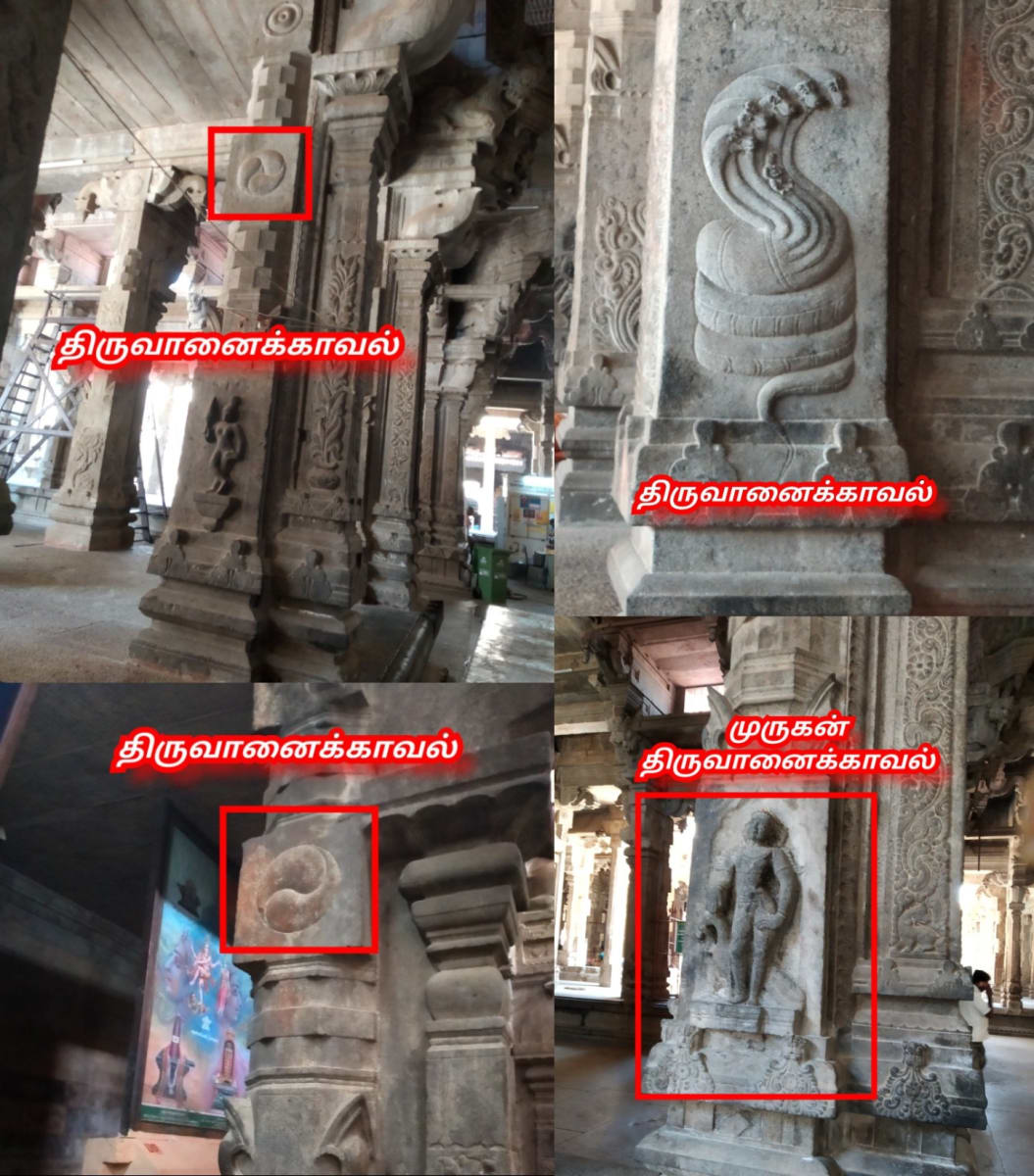 Part 4 Chola Cholar Temple Pallar Mallar World | பாகம் 4 சோழ சோழர் சோழர்கள் கட்டியது கோவில்கள் பள்ளர் மள்ளர் உலகம்