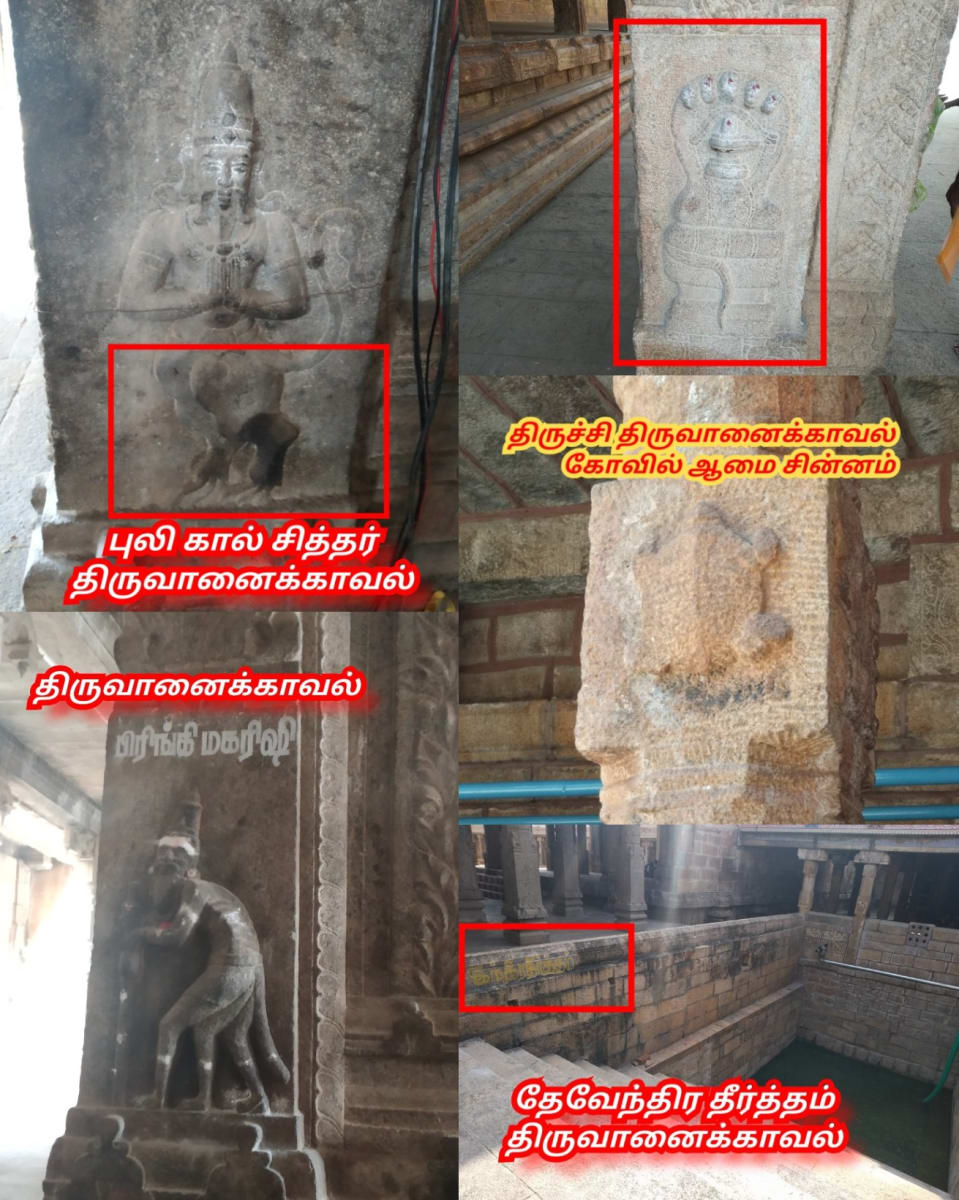 Part 4 Chola Cholar Temple Pallar Mallar World | பாகம் 4 சோழ சோழர் சோழர்கள் கட்டியது கோவில்கள் பள்ளர் மள்ளர் உலகம்