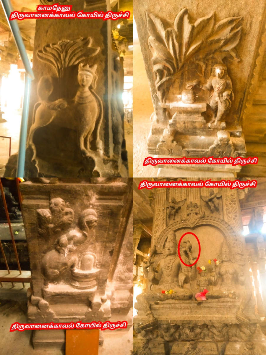 Part 4 Chola Cholar Temple Pallar Mallar World | பாகம் 4 சோழ சோழர் சோழர்கள் கட்டியது கோவில்கள் பள்ளர் மள்ளர் உலகம்