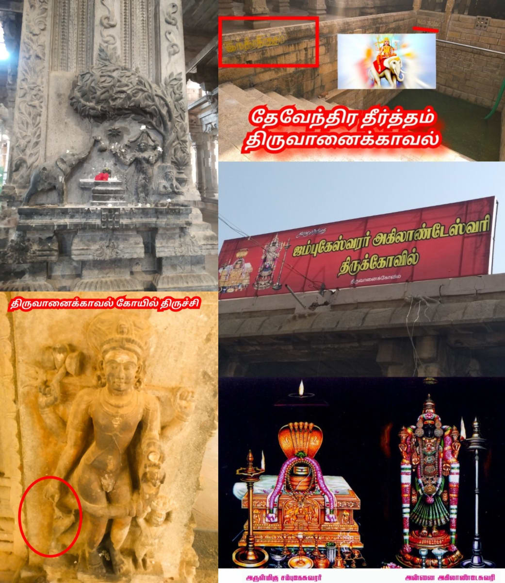 Part 4 Chola Cholar Temple Pallar Mallar World | பாகம் 4 சோழ சோழர் சோழர்கள் கட்டியது கோவில்கள் பள்ளர் மள்ளர் உலகம்