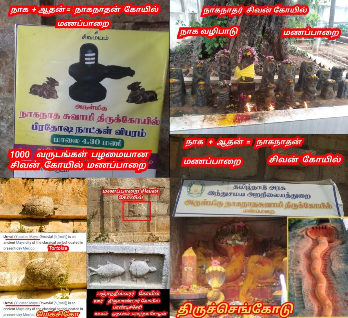 Part 10 Naga Nagar Chola Cholar Pallar Mallar | பாகம் 10 நாக நாகர் சோழர் சோழர்கள் பள்ளர் மள்ளர்