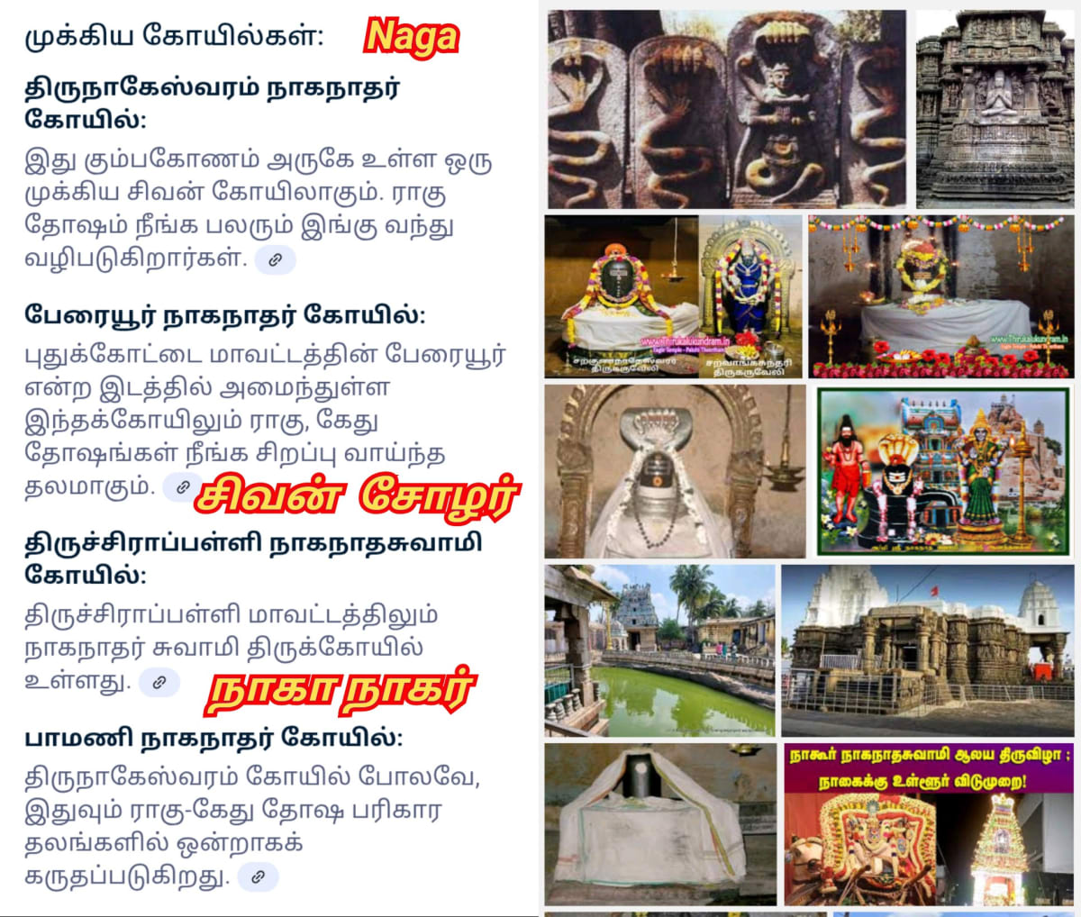Part 10 Naga Nagar Chola Cholar Pallar Mallar | பாகம் 10 நாக நாகர் சோழர் சோழர்கள் பள்ளர் மள்ளர்