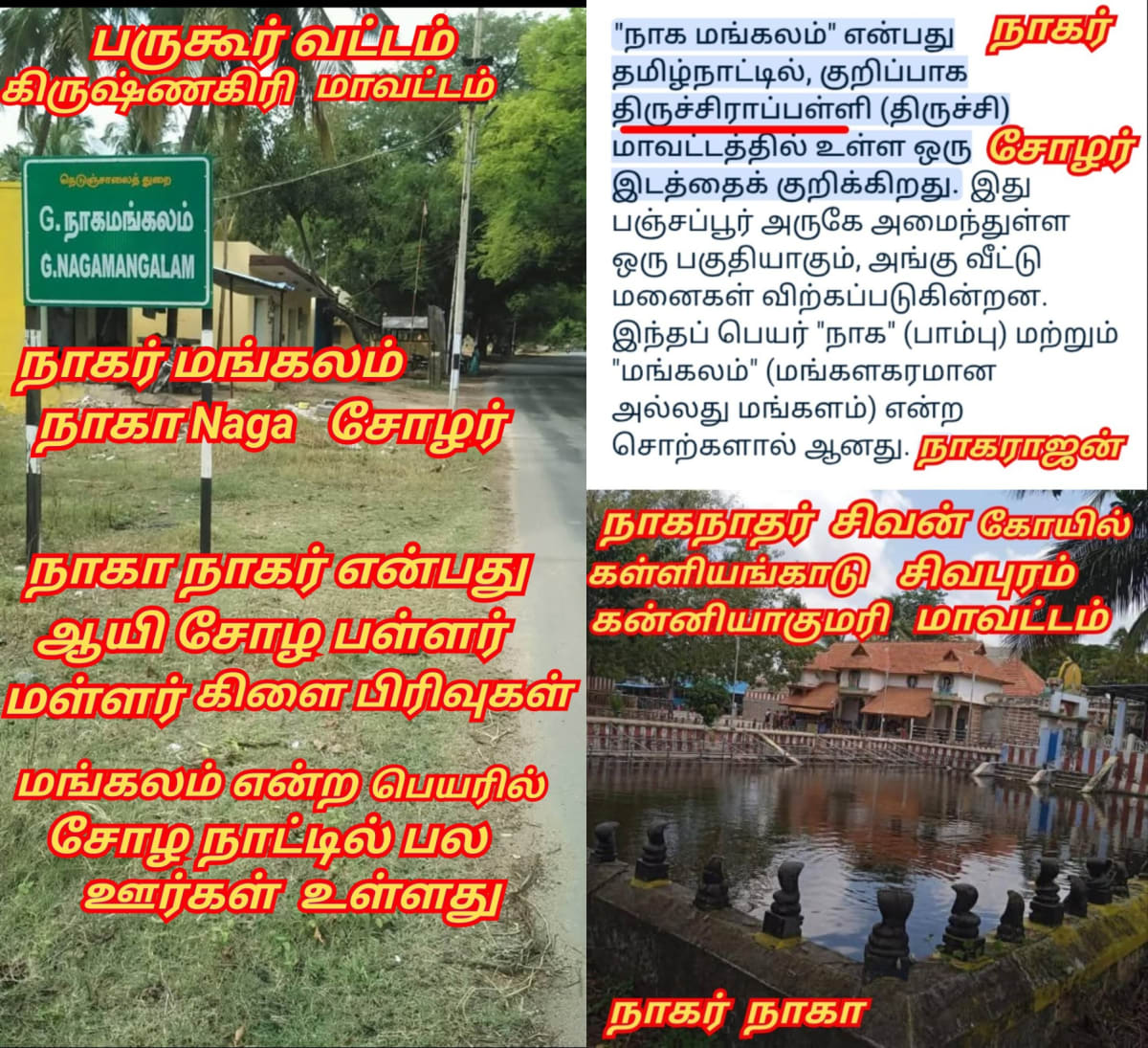 Part 10 Naga Nagar Chola Cholar Pallar Mallar | பாகம் 10 நாக நாகர் சோழர் சோழர்கள் பள்ளர் மள்ளர்