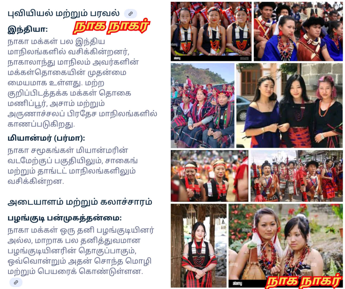 Part 10 Naga Nagar Chola Cholar Pallar Mallar | பாகம் 10 நாக நாகர் சோழர் சோழர்கள் பள்ளர் மள்ளர்