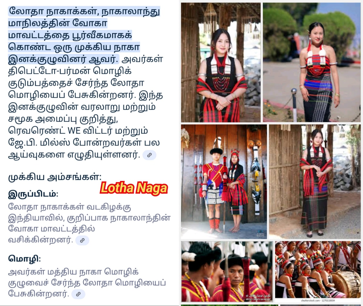 Part 10 Naga Nagar Chola Cholar Pallar Mallar | பாகம் 10 நாக நாகர் சோழர் சோழர்கள் பள்ளர் மள்ளர்