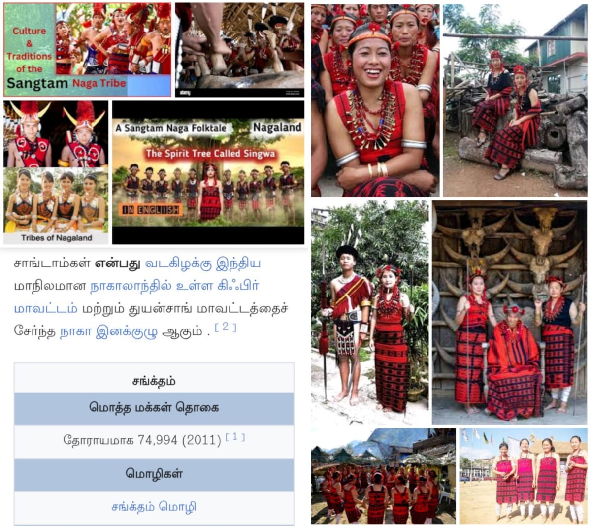 Part 10 Naga Nagar Chola Cholar Pallar Mallar | பாகம் 10 நாக நாகர் சோழர் சோழர்கள் பள்ளர் மள்ளர்