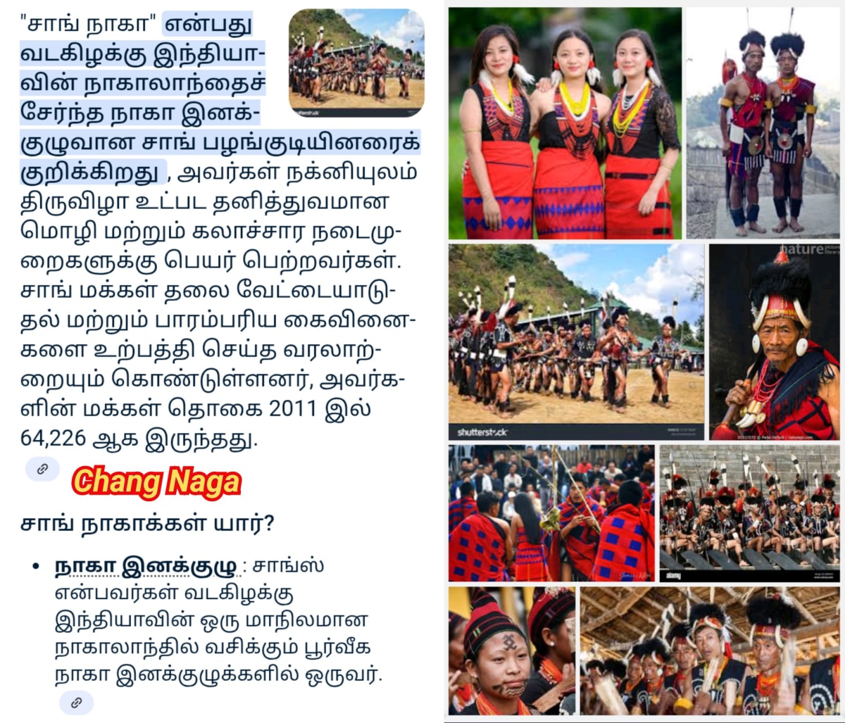 Part 10 Naga Nagar Chola Cholar Pallar Mallar | பாகம் 10 நாக நாகர் சோழர் சோழர்கள் பள்ளர் மள்ளர்