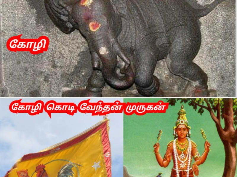 Part 12 Koli Koliyar Chola Cholar Pallar Mallar Nepal | பாகம் 12 கோலியர் சோழர் சோழர்கள் பள்ளர் மள்ளர் நேபாளம்