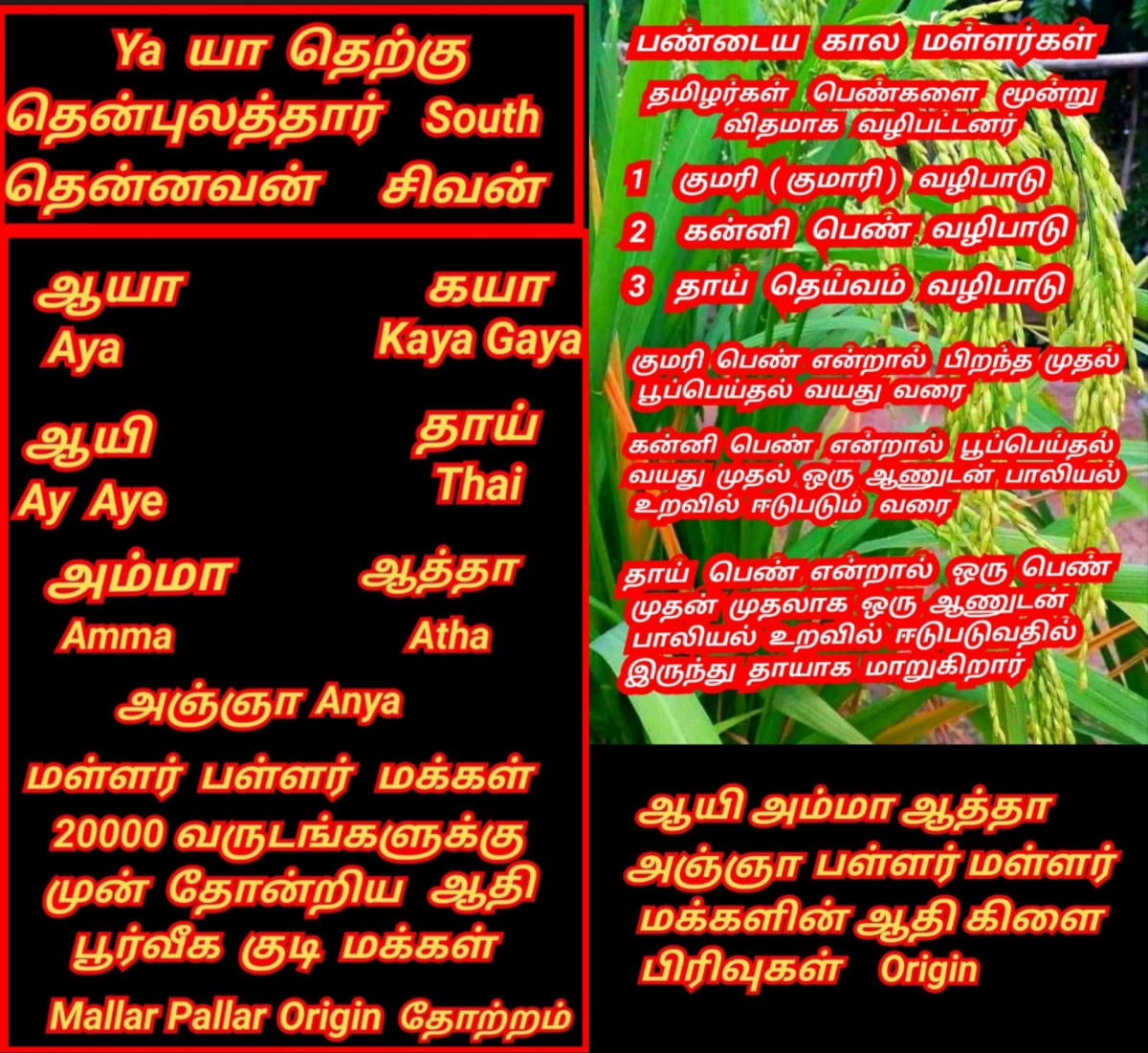 Part 14 Thai Ay Chola Cholar Pallar Mallar Thailand | பாகம் 14 தாய் ஆயி சோழ சோழர் பள்ளர் மள்ளர் தாய்லாந்து