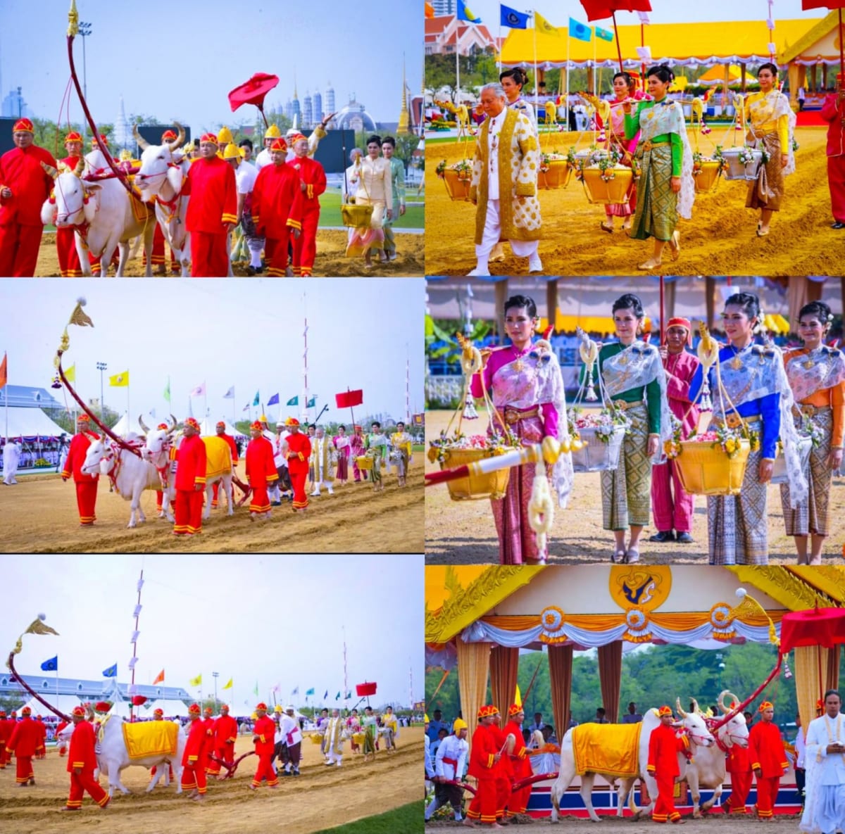 Part 14 Thai Ay Chola Cholar Pallar Mallar Thailand | பாகம் 14 தாய் ஆயி சோழ சோழர் பள்ளர் மள்ளர் தாய்லாந்து
